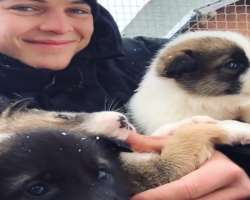 Alex is an animal lover and very fond of dogs.